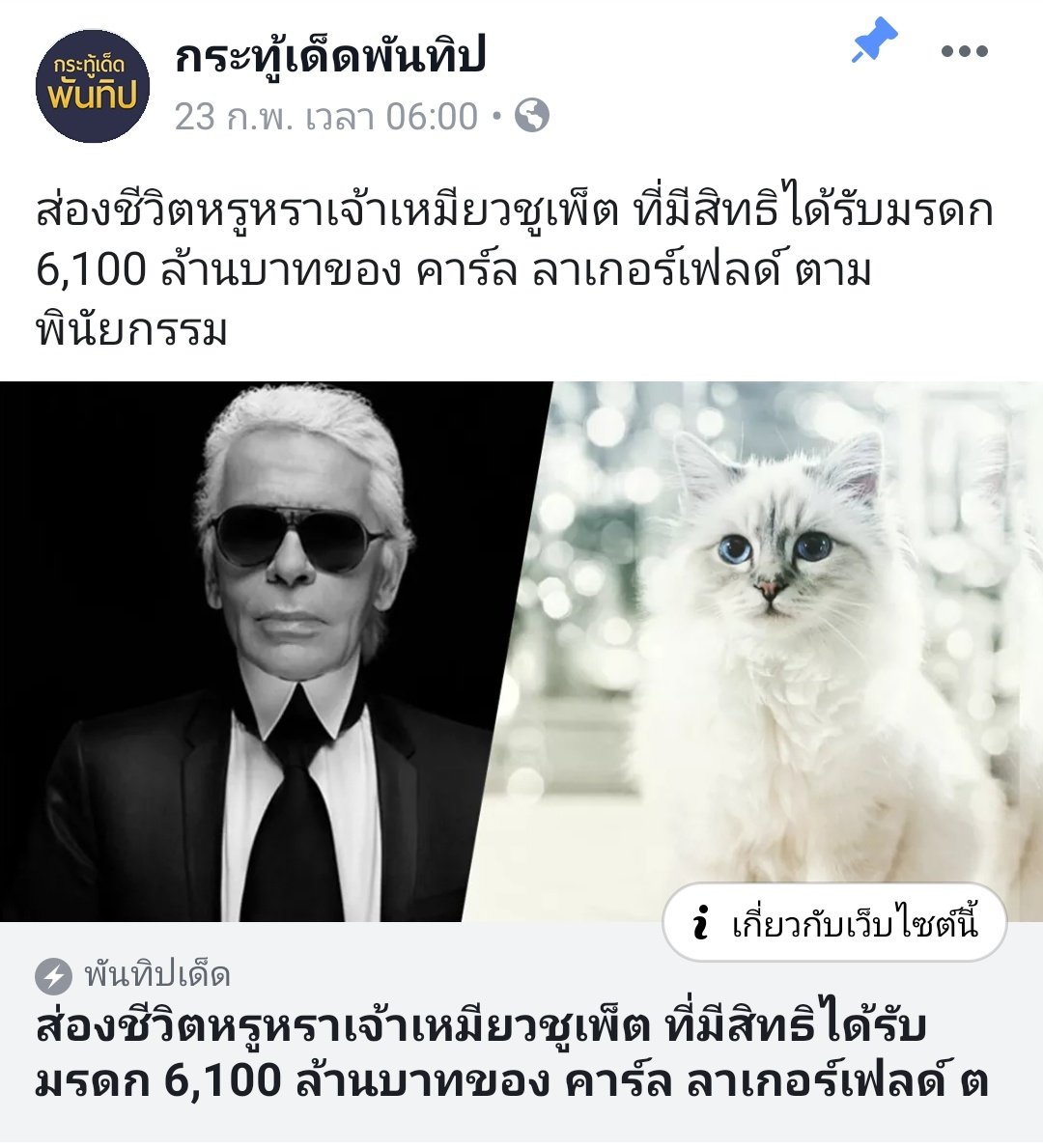 เทมเป้ 🎠 tweet media