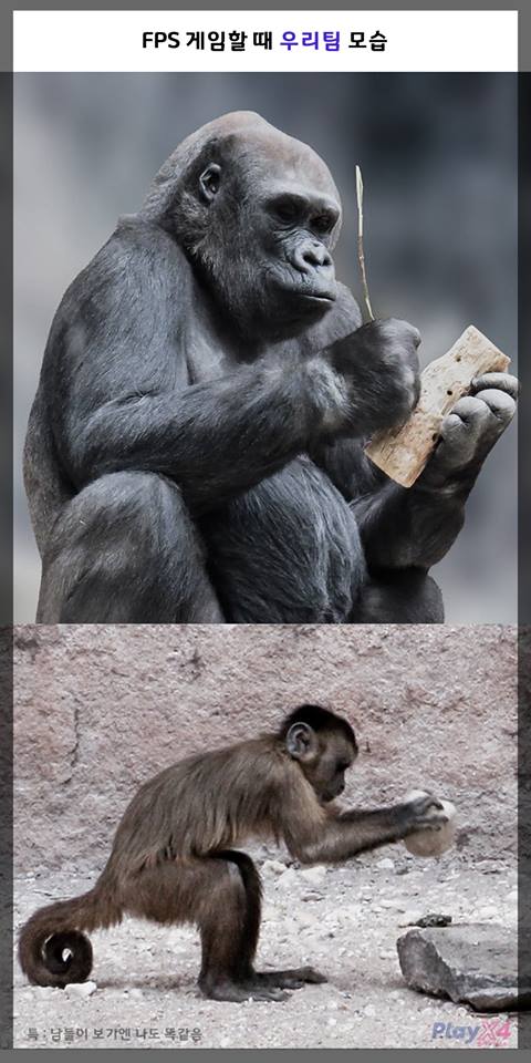 FPS 게임할 때 공감 (feat.팀CT)

플레이엑스포 페이스북에서 함께해주셨습니다.
아래 페북글도 눌러서 봐주세영 ㅇㅂㅇ)

게시글 보러가기 : bit.ly/2TbarFn

#팀CT #TeamCT #플레이엑스포 #게임 #공감 #게임할때_공감