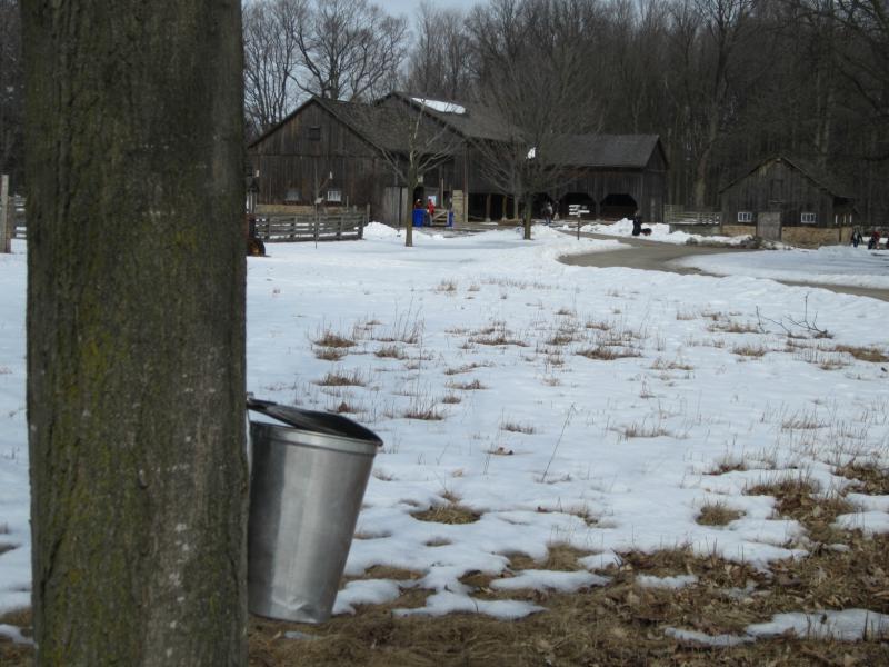 Days Out Ontario tweet media