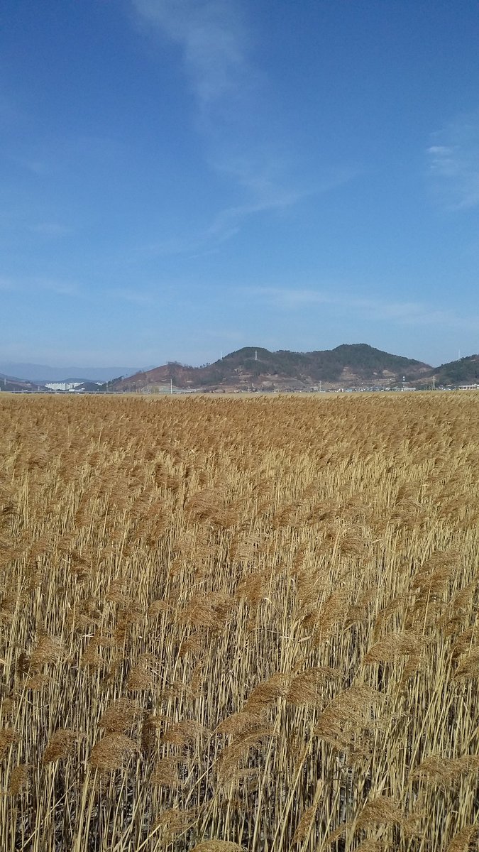 봄이 왔구나
소리도 없이 조용히 찾아왔구나
지나간 옛일
흐릿하게 흔적만 남긴채
기억속에서 사라져가고
새로운 사랑이
자리 잡았다