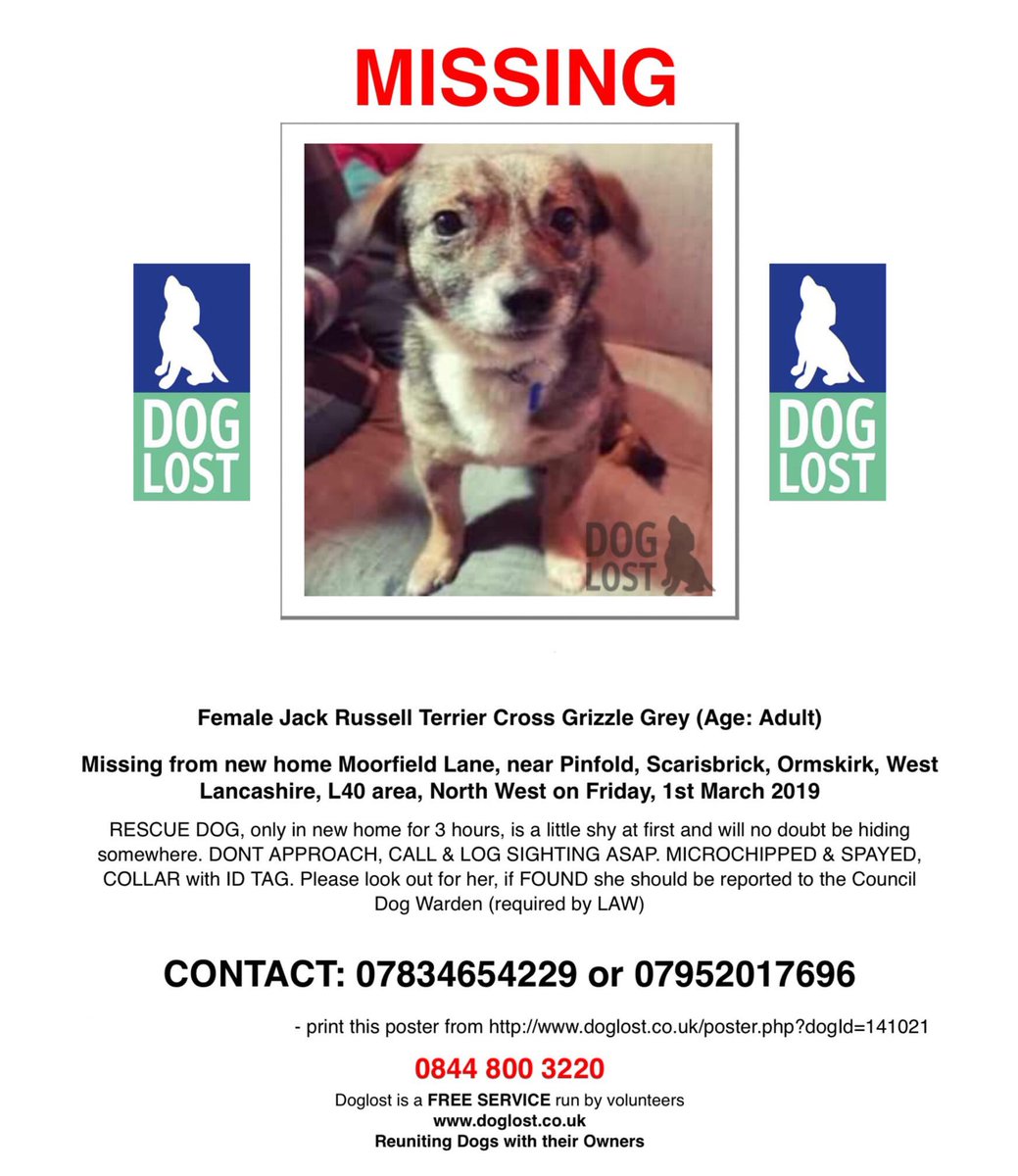 rosiedoc666's tweet photo. ❗️Cosette has escaped from her new home ❗️after only a few hours there. She is a little shy & doesn't know the area. We desperately need help getting everyone in the area information about her BUT DO NOT CURRENTLY SEARCH FOR HER 🆘🆘#Pinfold #Ormskirk L40
https://t.co/Ler7wJKWIt https://t.co/foaHsNDjtC