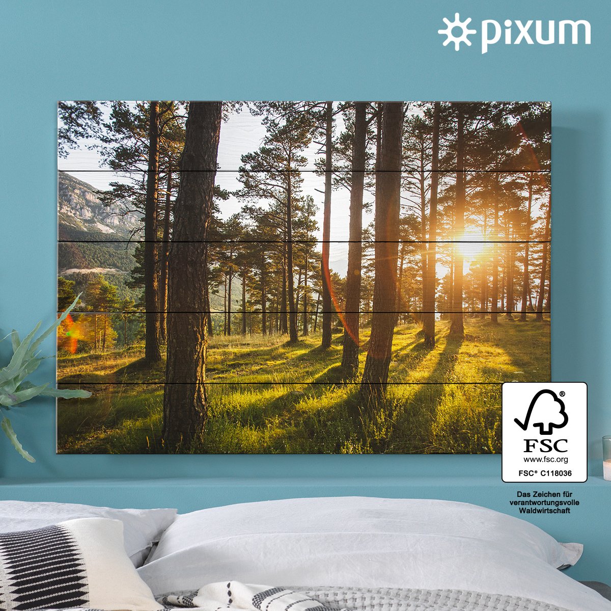 Pixum Pixum De توییتر