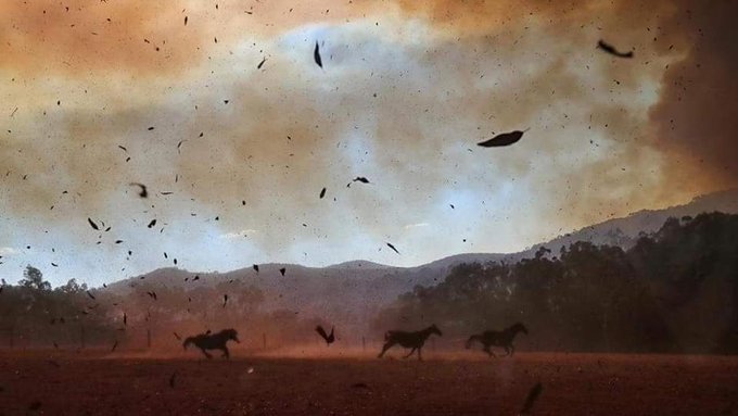 Προβολή εικόνας στο Twitter