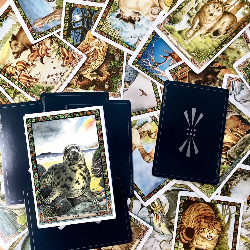 EddisonBooks's tweet image. Happy #WorldWildlifeDay 🐿️ 🐦 🐙
#druidanimaloracle #druid #sealofapproval
@TheDruidNetwork