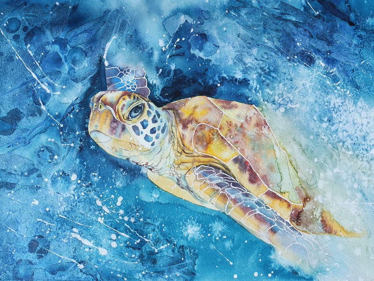 Green Turtle

#SketchForSurvival #ExplorersAgainstExtinction #watercoloursbyrachel #BigArtBoost #TheDailySketch #movement #wildlifeartist #wildlife #artist #art #AnimalPortrait #GreenTurtle #ocean