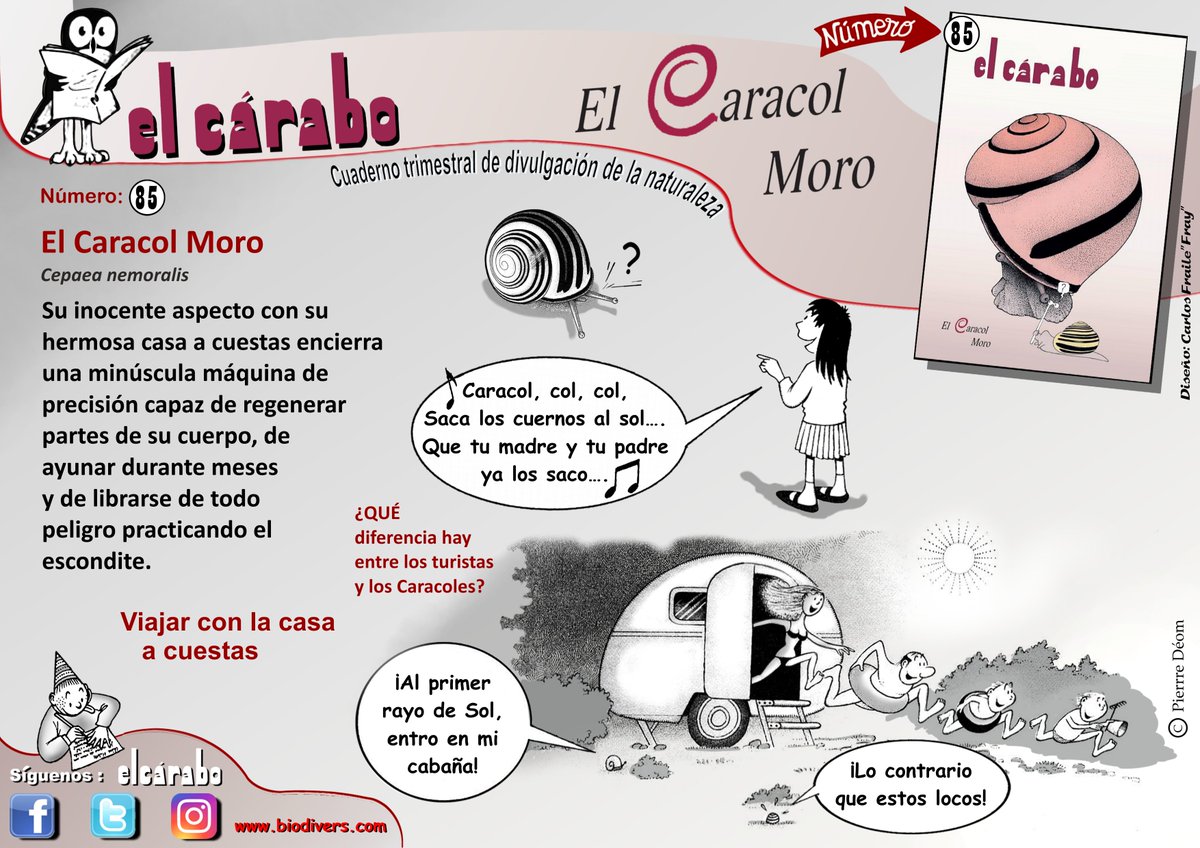 #carabo85 #elcarabo
¿Quien no canto alguna vez: "caracol col col, saca los cuernos al sol"? 
Un animalillo sorprendente... No esperes suscribete, 8 números: elcarabo.com/producto/suscr…
O solo este: elcarabo.com/producto/no-85…
Preguntas a: carabo56@gmail.com