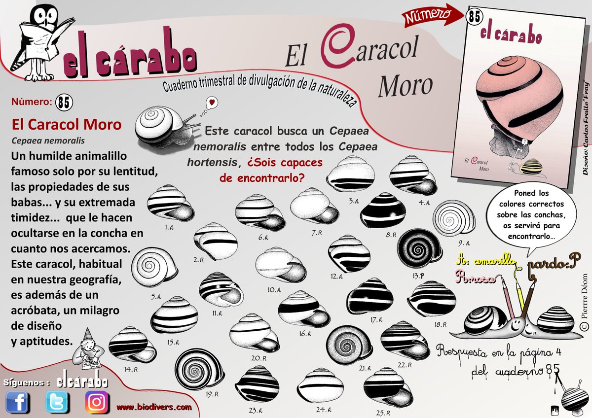 #carabo85 #elcarabo
Pequeño juego, ¿Eres capaz de encontrar a nuestro amigo?
El caracol... "ese gran desconocido" 
No esperes suscribete, 8 números: elcarabo.com/producto/suscr…
O solo este: elcarabo.com/producto/no-85…
Preguntas a: carabo56@gmail.com