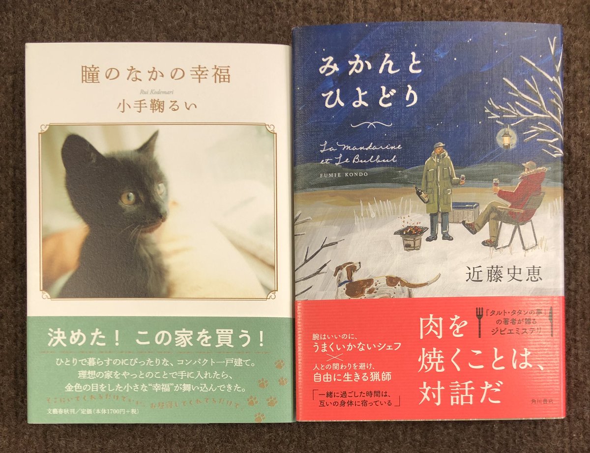 別れのあと 小手鞠るい Rui Kodemari 新潮社 文学 | colcuidar.com