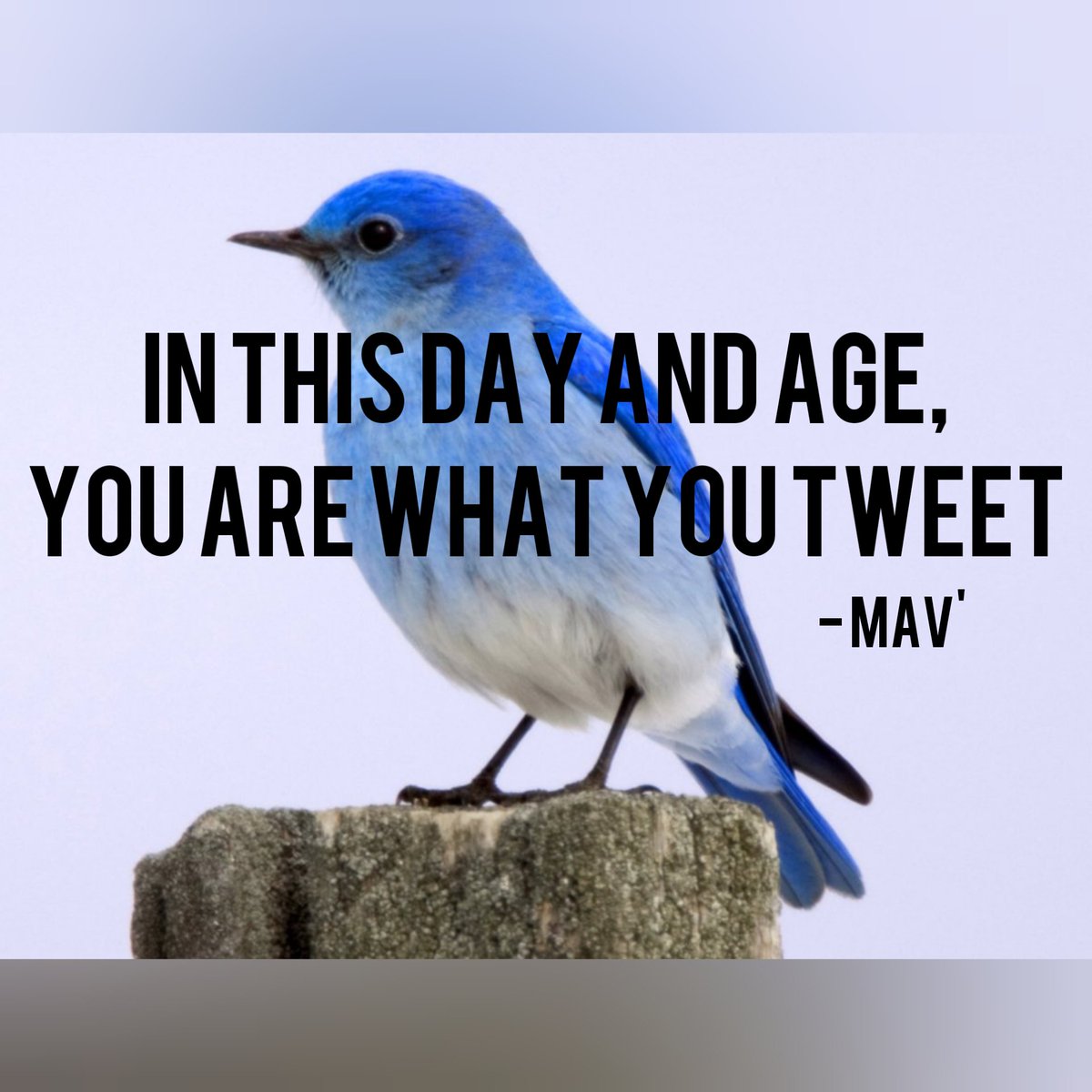RelevantTechUK's tweet photo. RT @E_ricDigital: Social media consumption has been our source for food for thought. What you consume is what you eat.... "In this day and age, you are what you tweet" - Mav'

#Craytivity #quoteme #quotes #quote #ThinkBIGSundayWithMarsha #SocialMedia #di… https://t.co/glIdwl5vhv