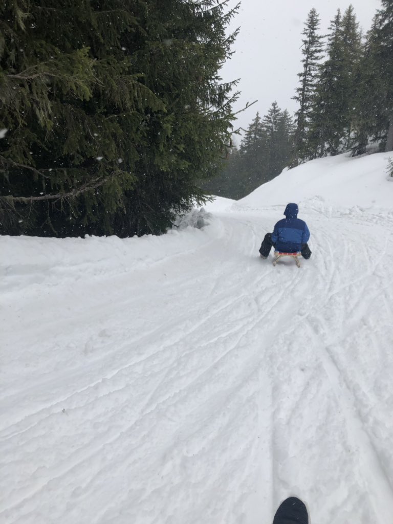 Final day sledging pics with Miss Roberts and Miss Gittins! 🎿⛷❄️
