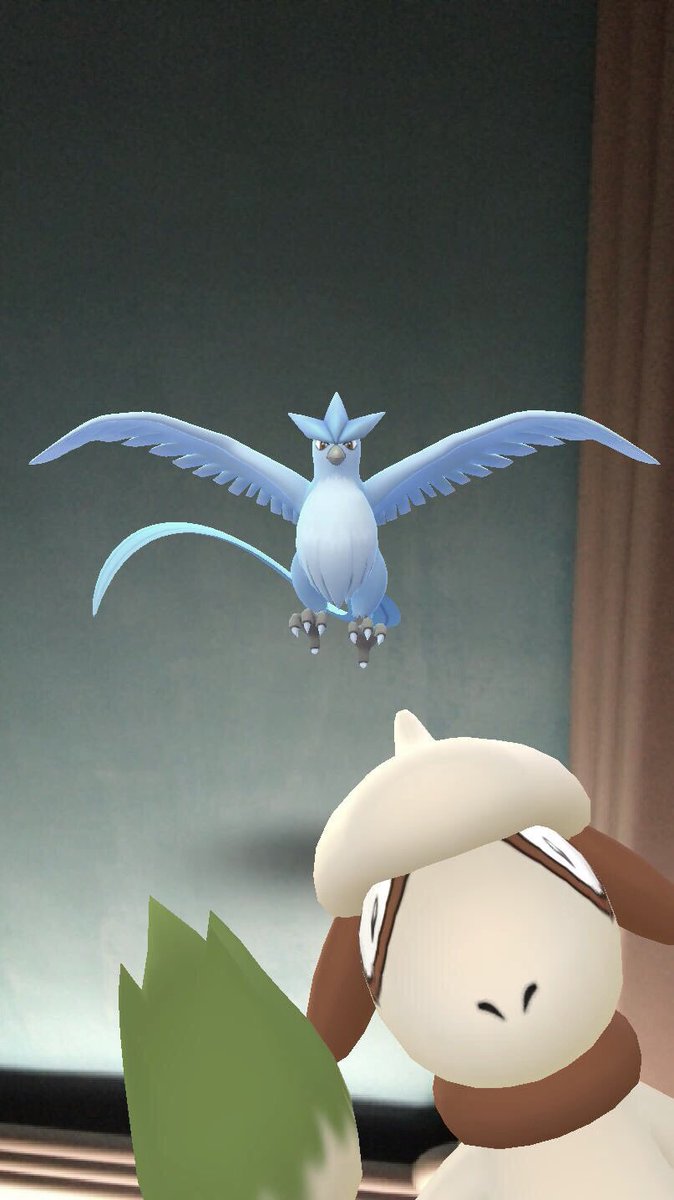 LynnLow_'s tweet photo. After 100++ shots, Smeargle finally appeared https://t.co/XW4yQikv6R