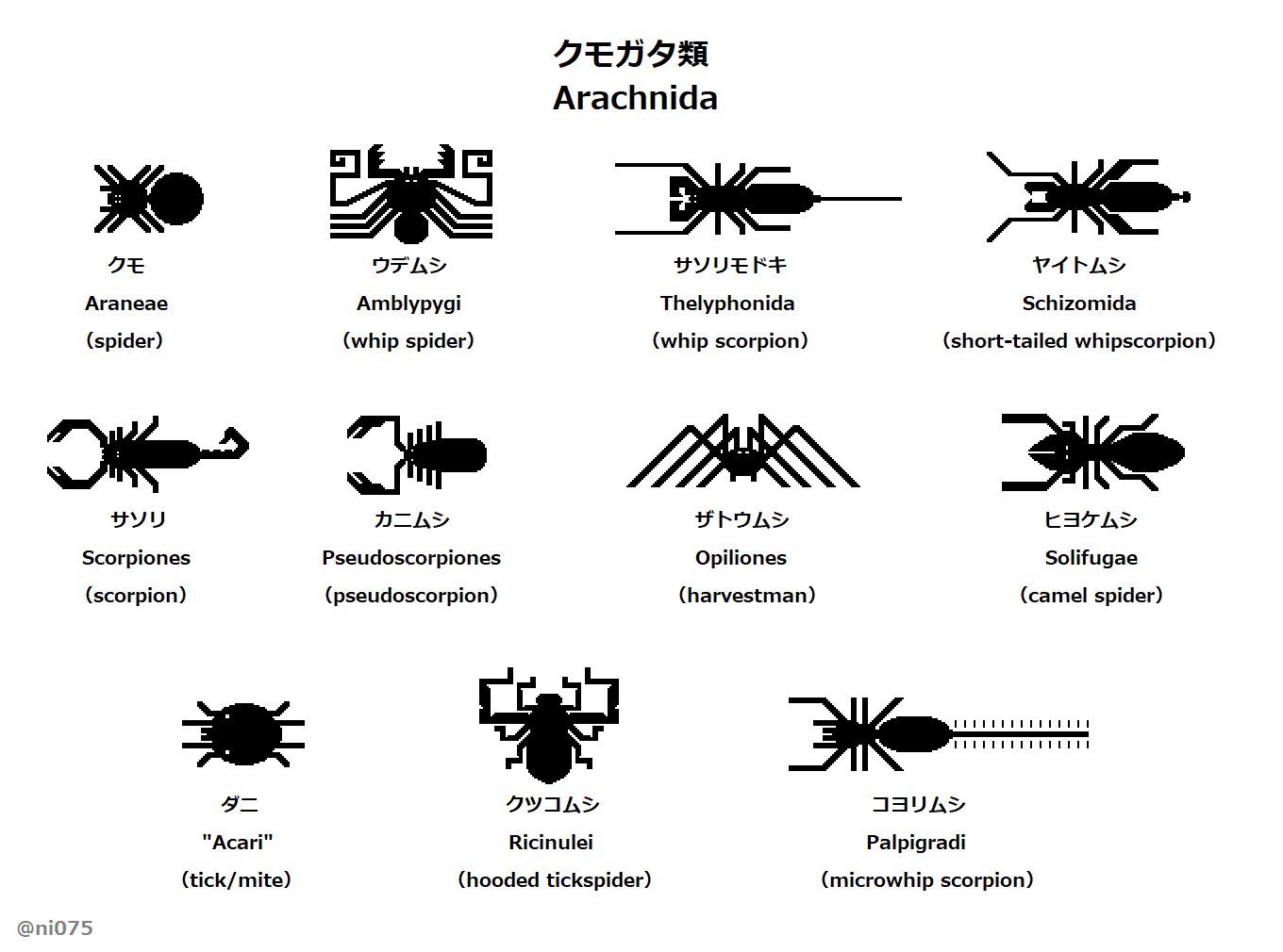 Jun せっかく描いたので 学名 英語名 も一斉に並んでみます 一部のクモやサソリでないクモガタ類の英語名に Spider や Scorpion がついたせいで 英語界隈におけると誤解を招きやすいものになる また ダニ に対応する英語名は存在せず Tick