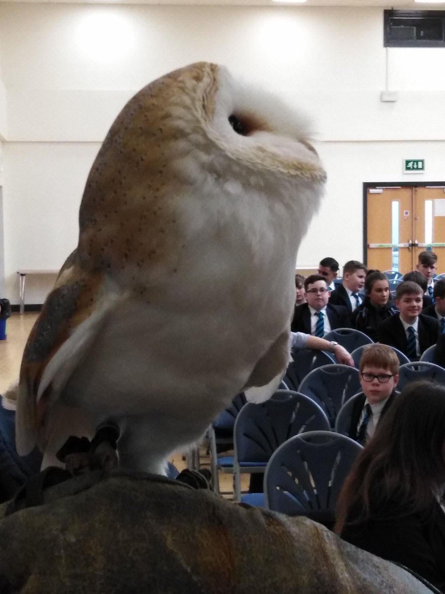 Year 9 pupils enjoyed the opportunity to see some local wildlife at fist hand in another superb visit from @WorldofOwls.