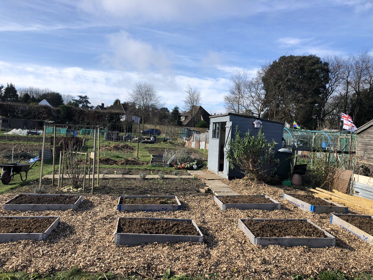 allotment9A's tweet photo. I have quite a big #allotment space I think it’s about 290sq meters &amp; can take a lot of work when it’s just me looking after it 💪🏻

Saying that I love every minute I’m down there &amp; the hard work is worth it 🌱🌸

This is my HAPPY place #mentalhealth #PTSD #MentalHealthAwareness https://t.co/NE0HhOy513