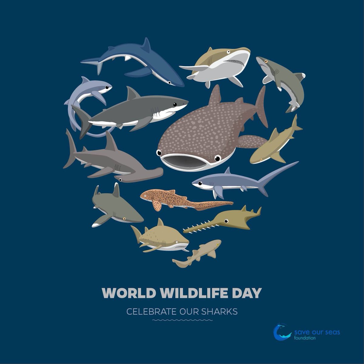 Happy #WorldWildlifeDay 
This year’s World Wildlife Day focuses on marine species for the first time! We’re taking advantage of this and celebrating our #jawsome #sharks 🦈💙
