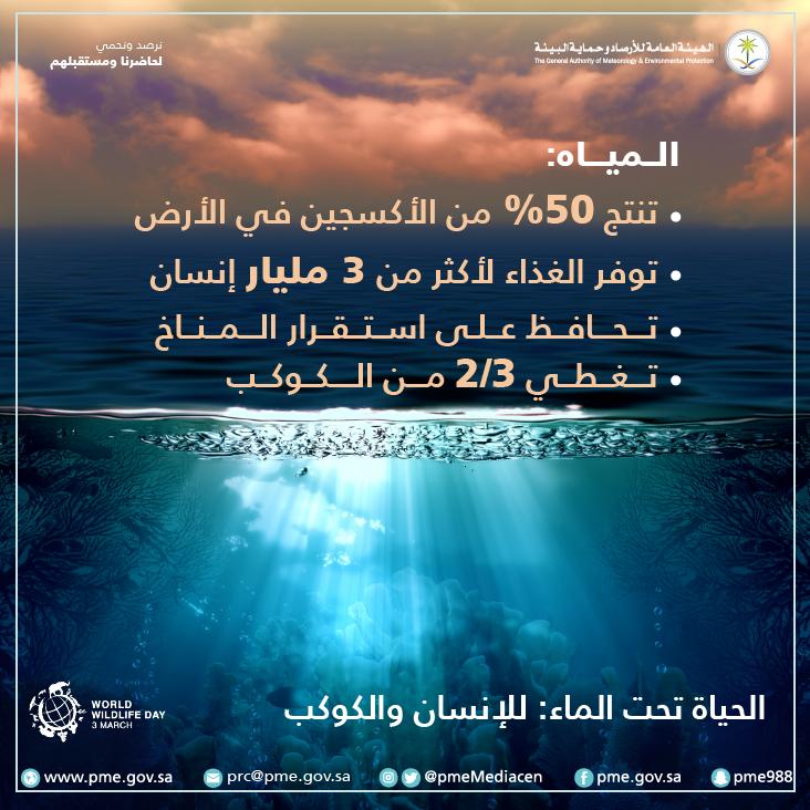 NCMKSA's tweet image. 🌍 
الحياة تحت الماء: للإنسان والكوكب 
@WildlifeDay 
#اليوم_العالمي_للأحياء_البرية #نرصد_ونحمي 
#الهيئة_العامة_للأرصاد_وحماية_البيئة