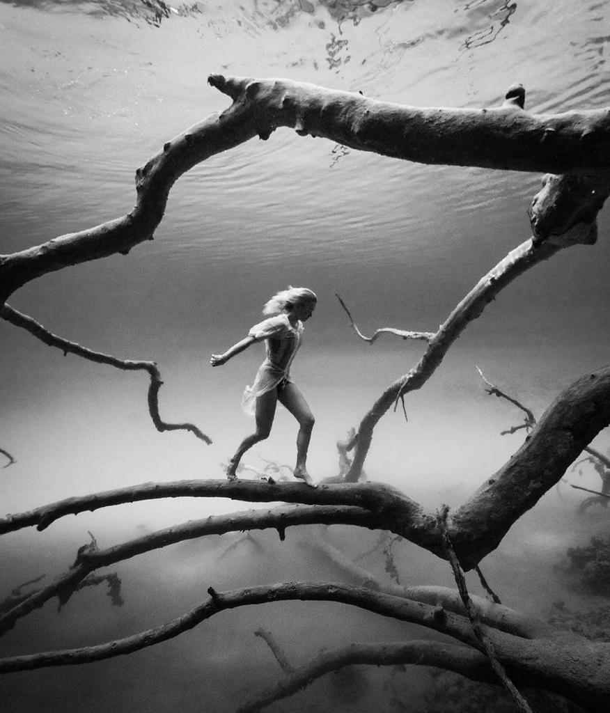 DeeperBlue.com tweet media