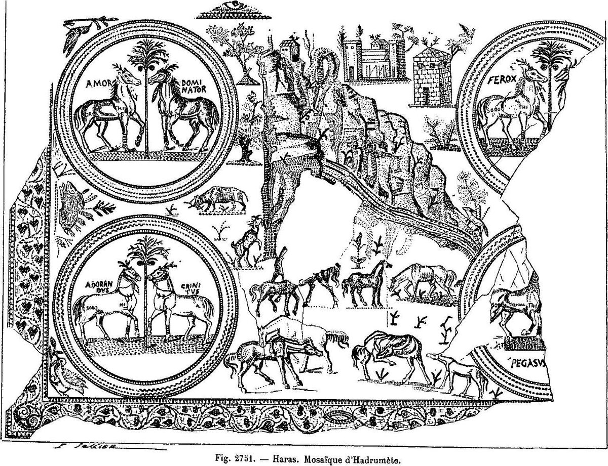 HADRAMOUT01's tweet image. مدينة #حضرموت في #تونس(سوسه)حالياً تعود للقرن6ق.م
أسماها الفينقيون حضرموت لتأثرهم بالحضارم وللشبه بين سواحلها وسواحل أرض أجدادهم  بحضرموت التي هاجروا منها.
والإسم منتشر في تونس فسميت به شواطئ ومؤسسات كالمتحف والمسرح وأسماء الشوارع.
وهي المدينه التي يُنسب إليها إبن خلدون الحضرمي..