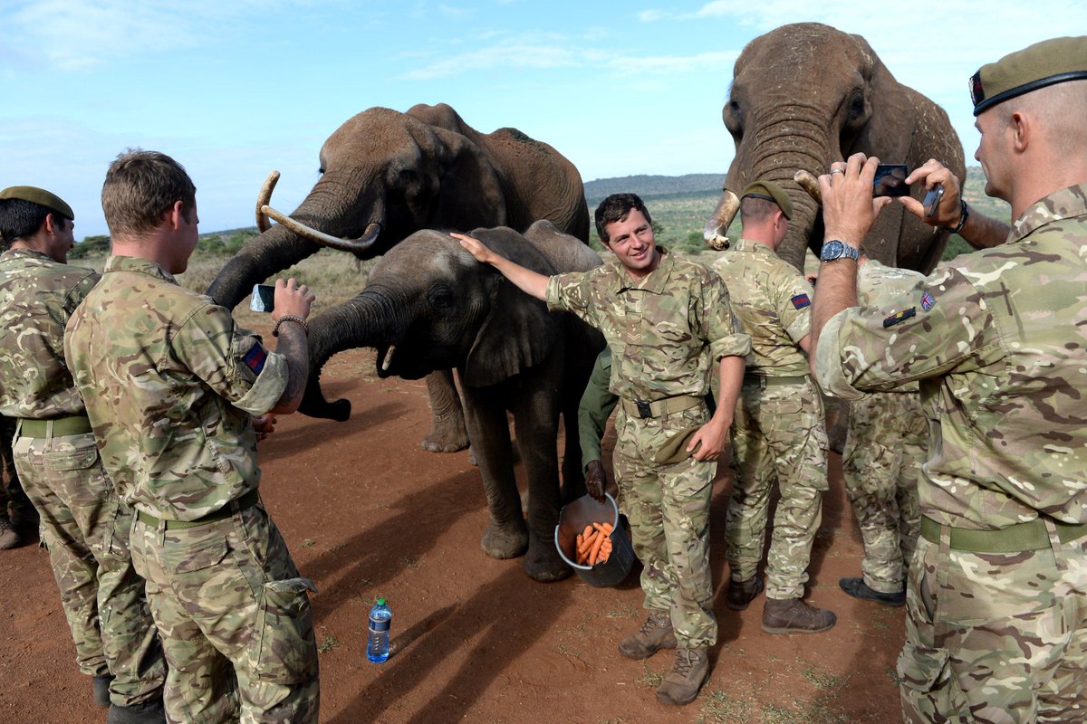 BritishArmy's tweet photo. Anti-poaching is just another string to the Army's bow 🐘 Members of the Welsh Guards’ Battlegroup, training in Kenya, have been waging a real war on poaching in the country. The Guards got to meet some of the animals they are helping to protect #worldwildlifeday https://t.co/hPX0ppc8eF
