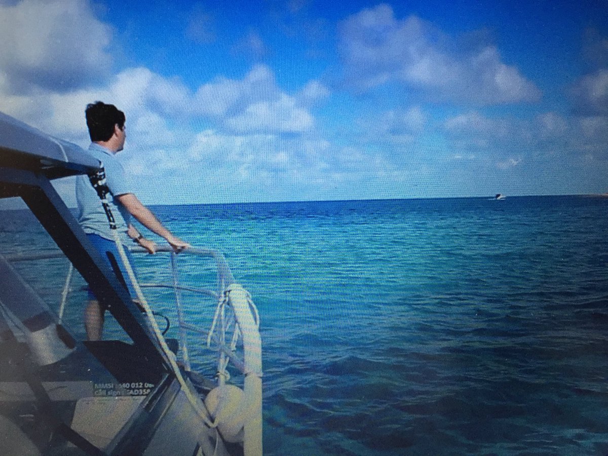 ElgaMarzou's tweet image. Plongée avec les #requins dans le Parc Naturel de la #MerDeCorail en #NouvelleCalédonie ⁦@13h15⁩ ⁦@France2tv⁩