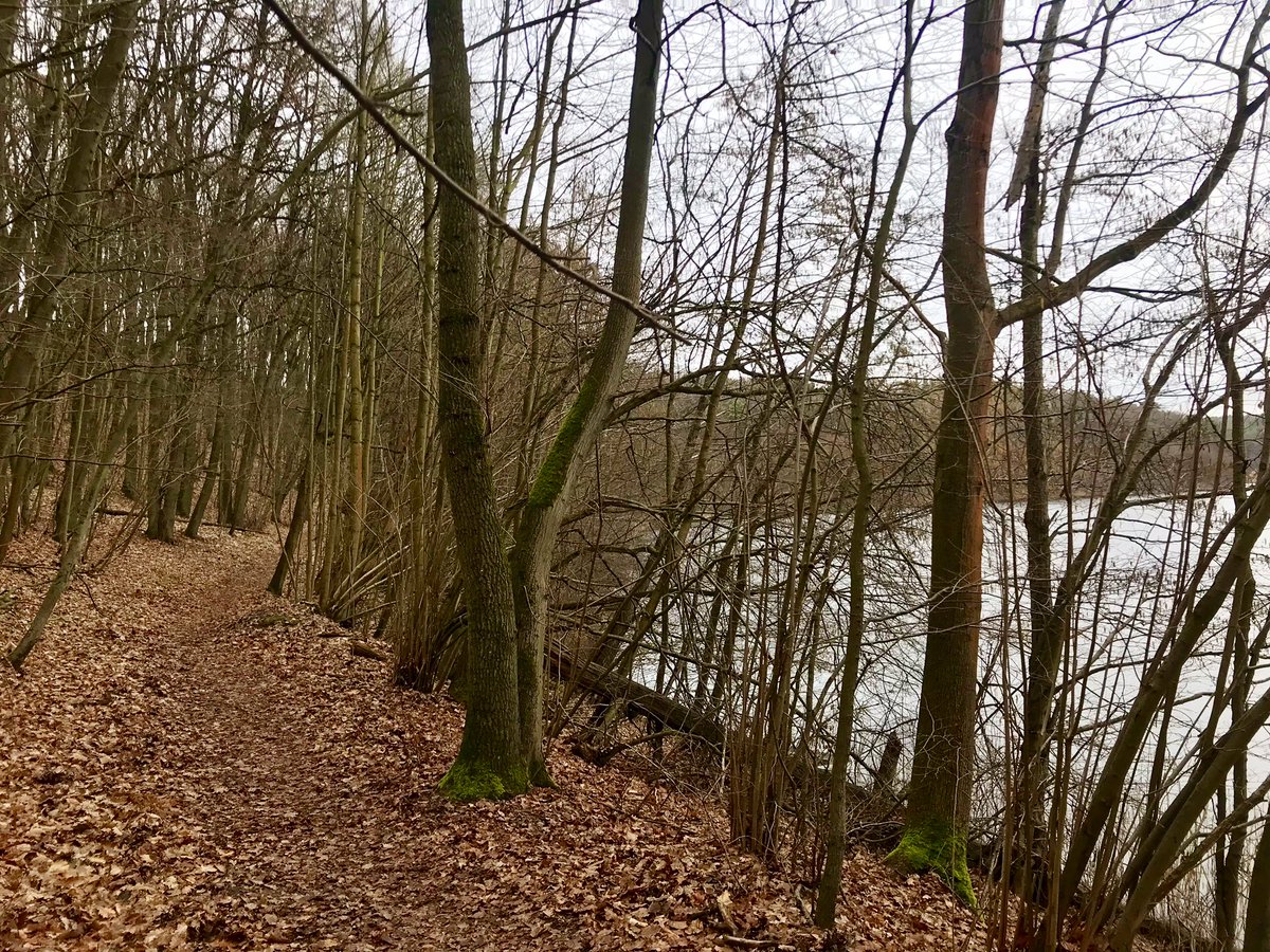 1904Chris's tweet photo. #running um den #LangerSee und #Mittelsee #brandenburg https://t.co/YxVdFGp53c