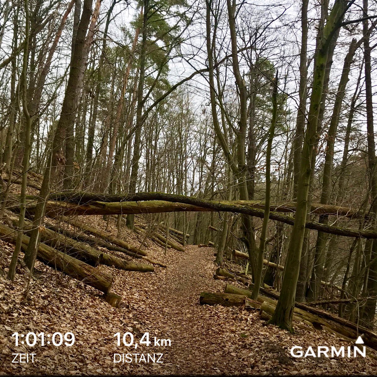 1904Chris's tweet photo. #running um den #LangerSee und #Mittelsee #brandenburg https://t.co/YxVdFGp53c