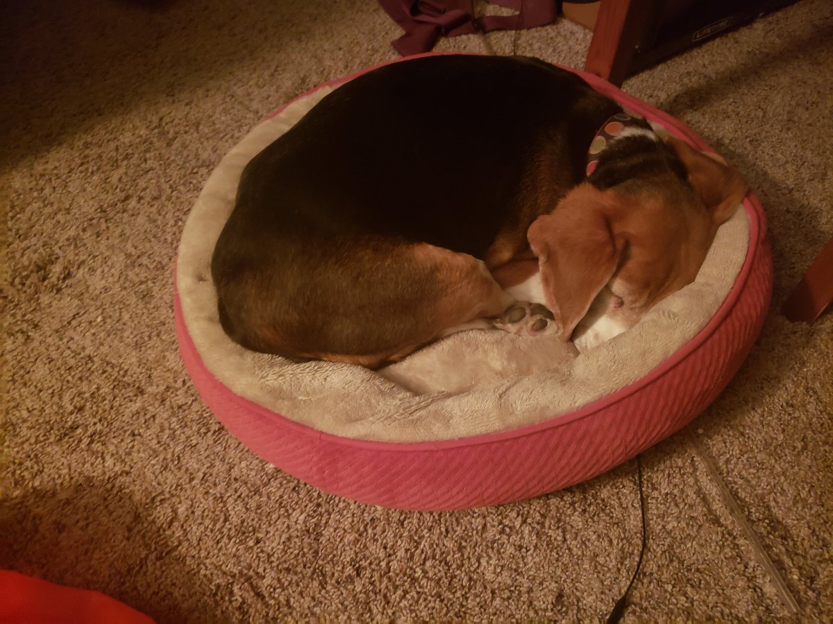 Daffy Beckley (@beckleydaffy) on Twitter photo 