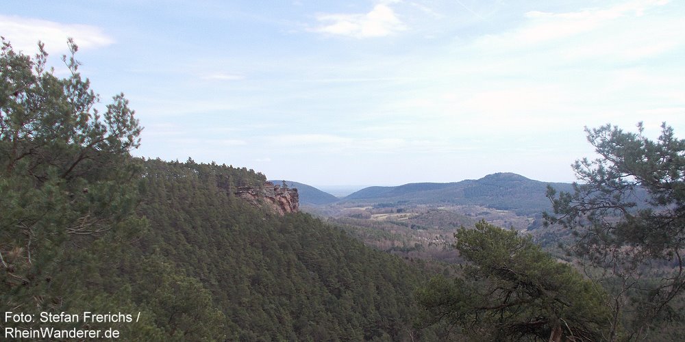 RheinWanderer's tweet photo. #Wandern im #Pfälzerwald: Diese schöne Rund-#Wanderung führt auf dem Buntsandstein-Höhenweg rund um #Dimbach. Es geht zu den Aussichtsfelsen #Dimberg, #Rötzenfels (Foto) und #Häuselstein. Mehr Fotos und Infos hier: https://t.co/x4uo7fSsuU #Pfalz #RLPerleben https://t.co/a1TAnVj3hJ