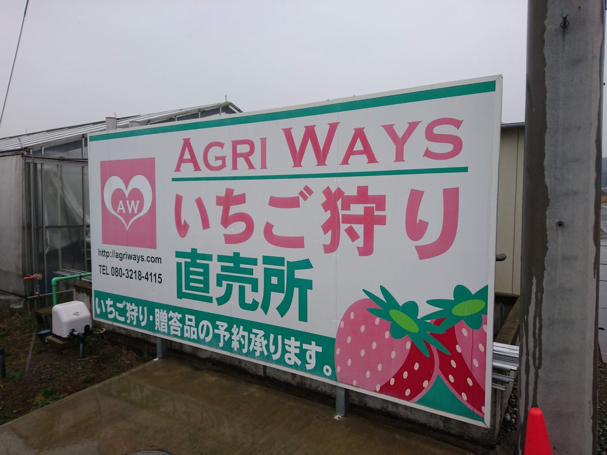 シン 小田原のagri Waysでいちご狩り 10時オープン 予約順に案内されます 大きなビニールハウスで多種栽培 7割は紅ほっぺ 他はあまおとめ あまえくぼ よつぼし おいcベリー やよいひめ もういっこなど 完熟 苺をたっぷり食べて大満足 苺狩り