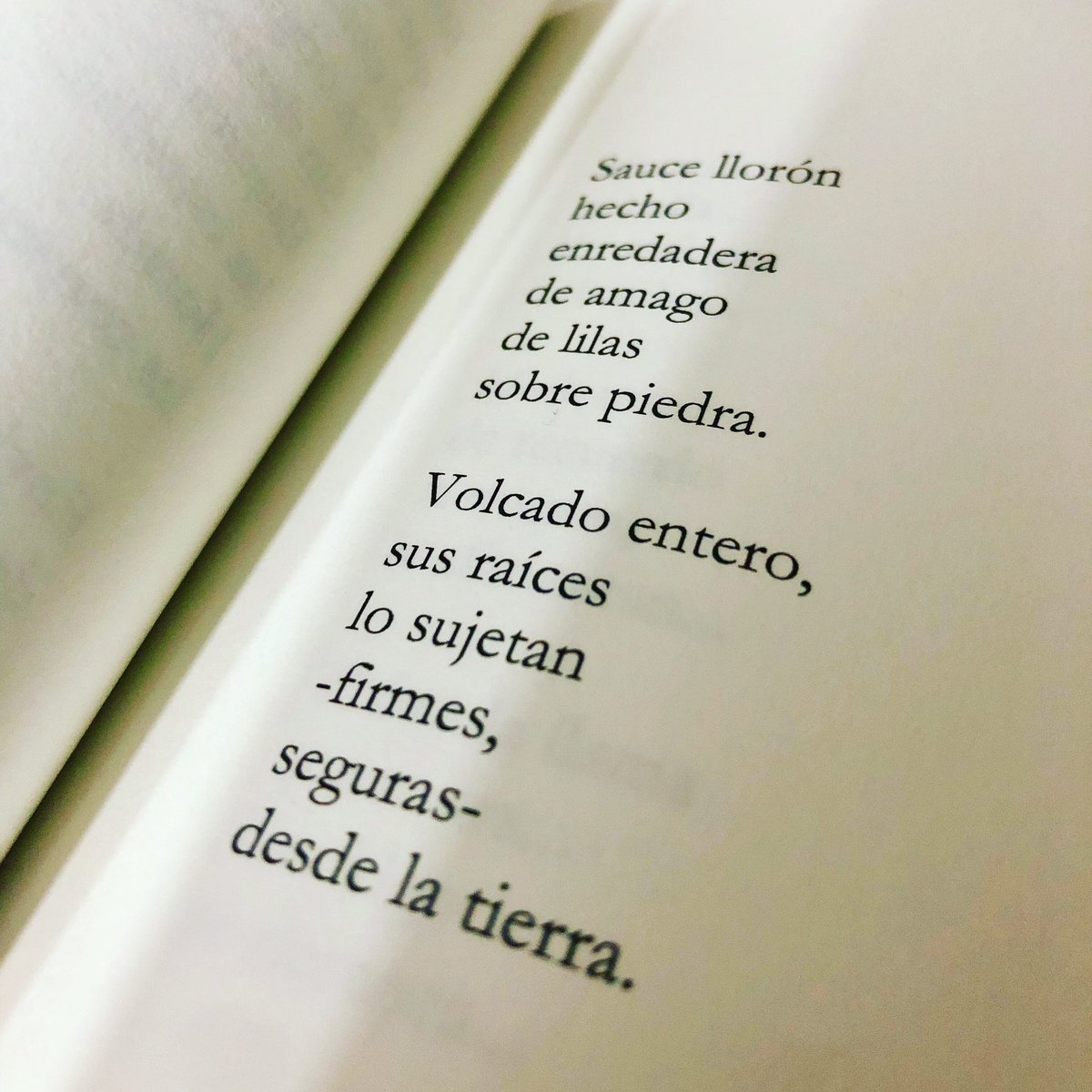 Carlos Vera on Twitter: "Poema que forma parte del libro "Trazas de vida". # poema #lirica #literatura #versos #libros #LibrosDePoesias #amamoslapoesia  #escribir #prosapoetica #poesiaenespañol #libros #poemas #sentimientos  #escritor #librosrecomendados ...