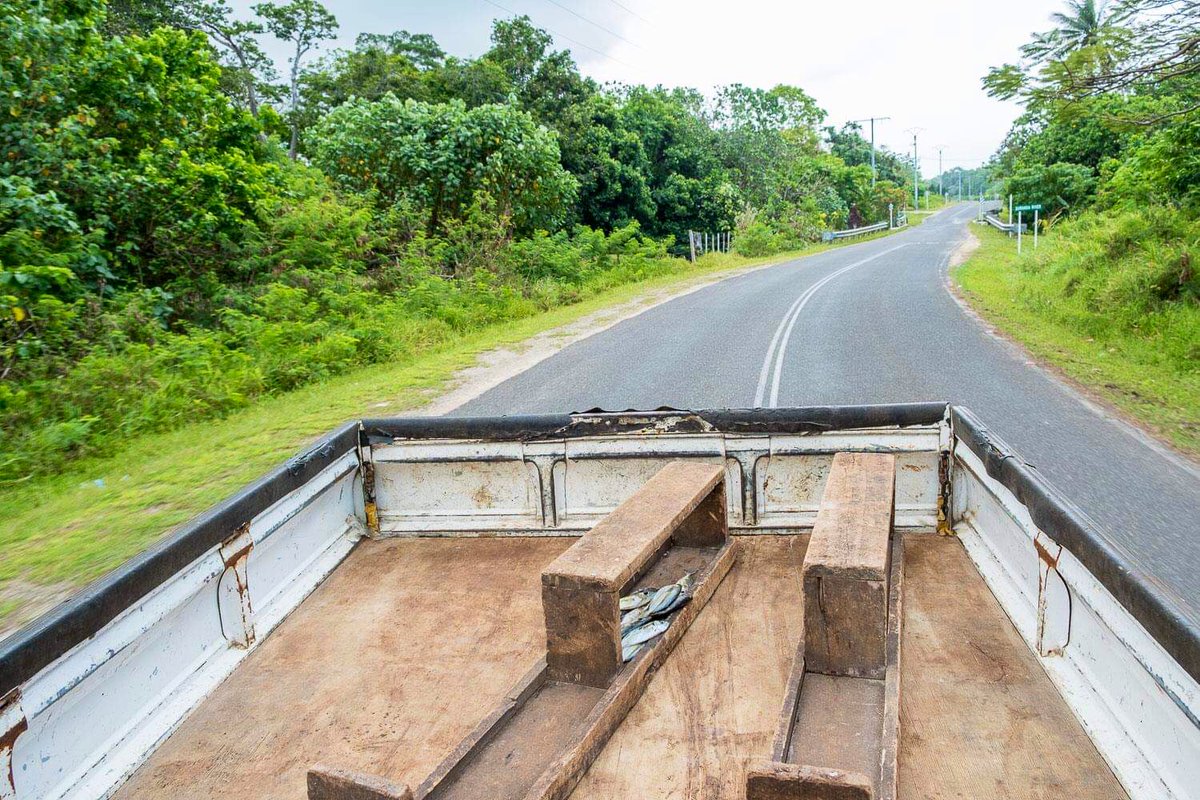 BuenosViajesAL's tweet photo. L'auto stop sur l'île de Santo prend des airs d'aventure 🚚🍃
Entre les bancs et les poissons frais (à moitié )
Vers une #palmeraie et production de café et chocolat
#Vartc #Luganville #DiscoverVanuatu https://t.co/bI7nTw5TT1