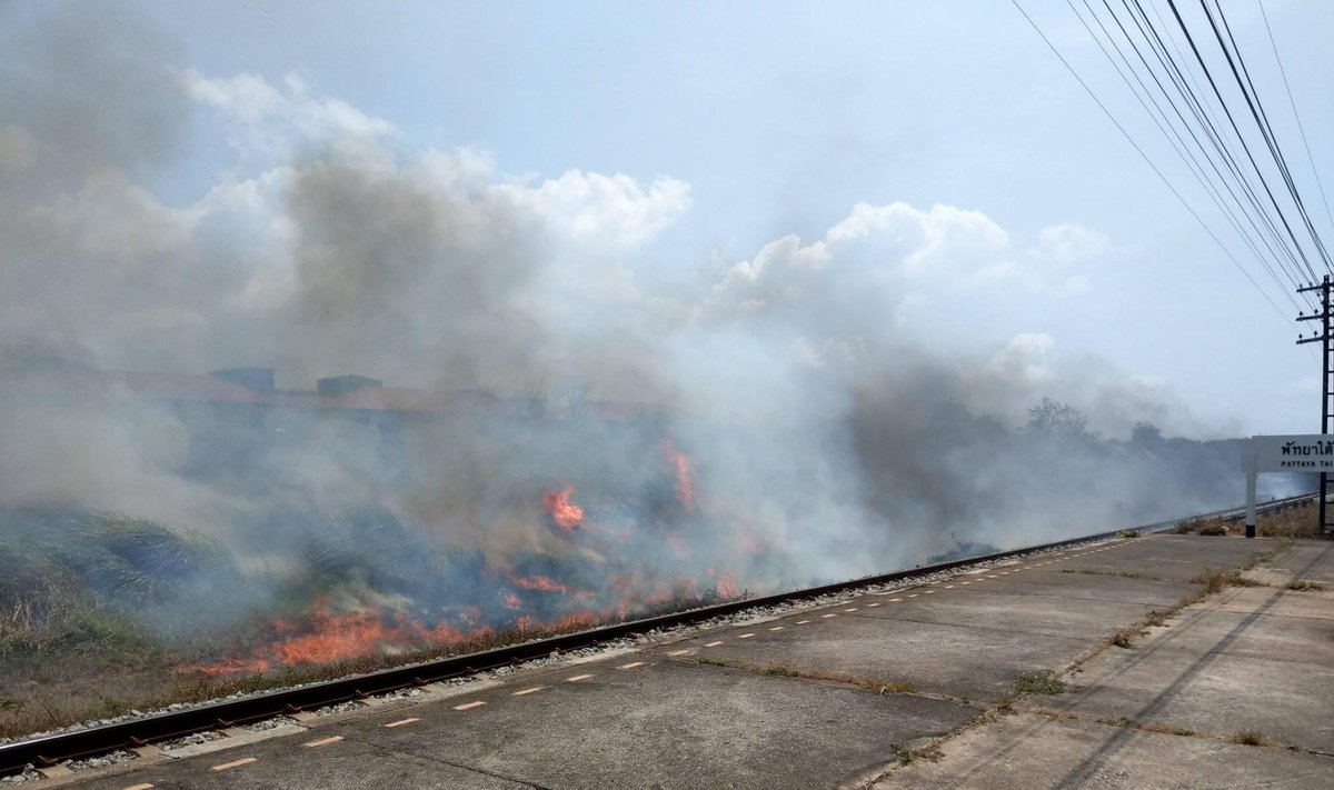 PollutionWatchThai tweet media
