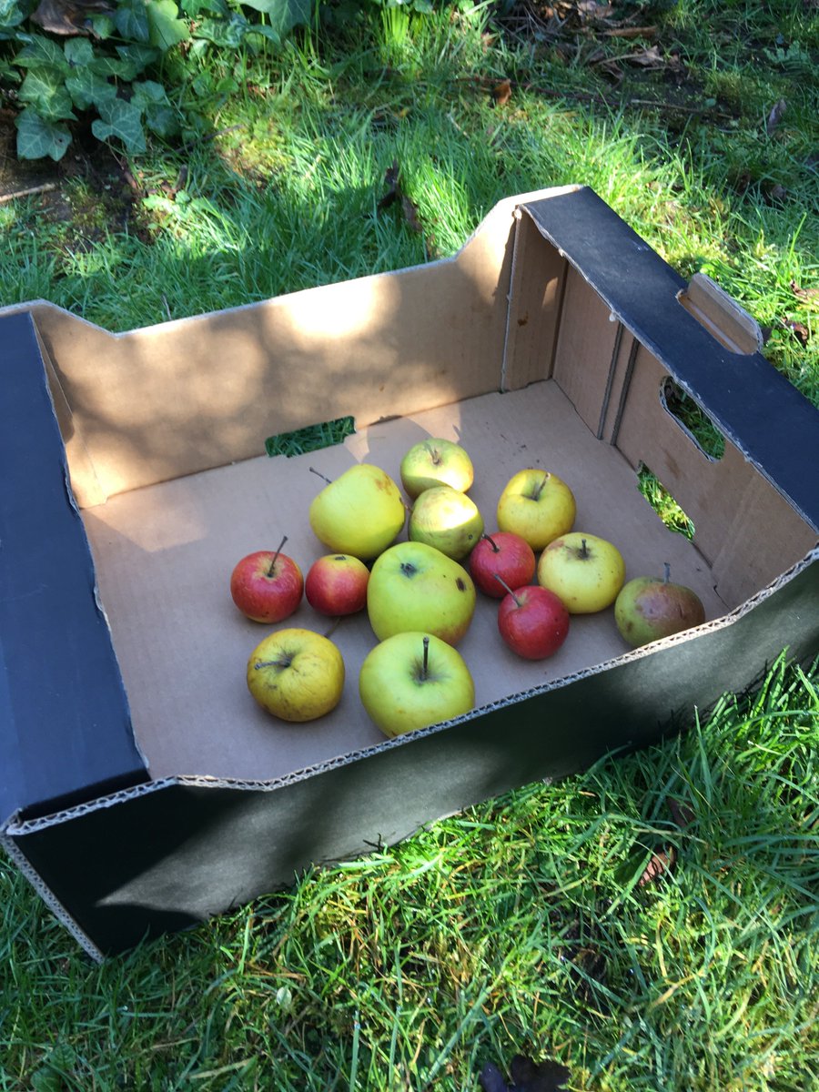 2Steps 4Words will be doing a BBC Radio Cambridgeshire live acoustic session for the Folk Show on Monday 4th March from 20:15 onwards. Two live songs and an interview, so put the kettle on and grab a homemade biscuit. musicglue.com/2steps4words/