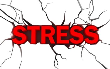 COLUMN vd MAAND: Prof Brummer over de invloed van stress op de darmen - lees meer!

darmgezondheid.nl/columns-stress…