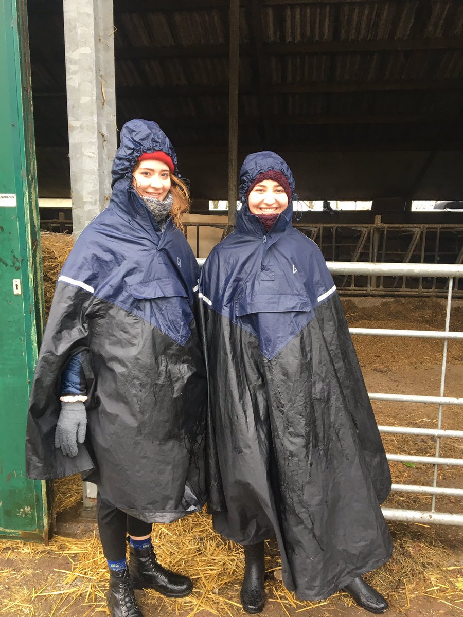 beccalang7's tweet image. 