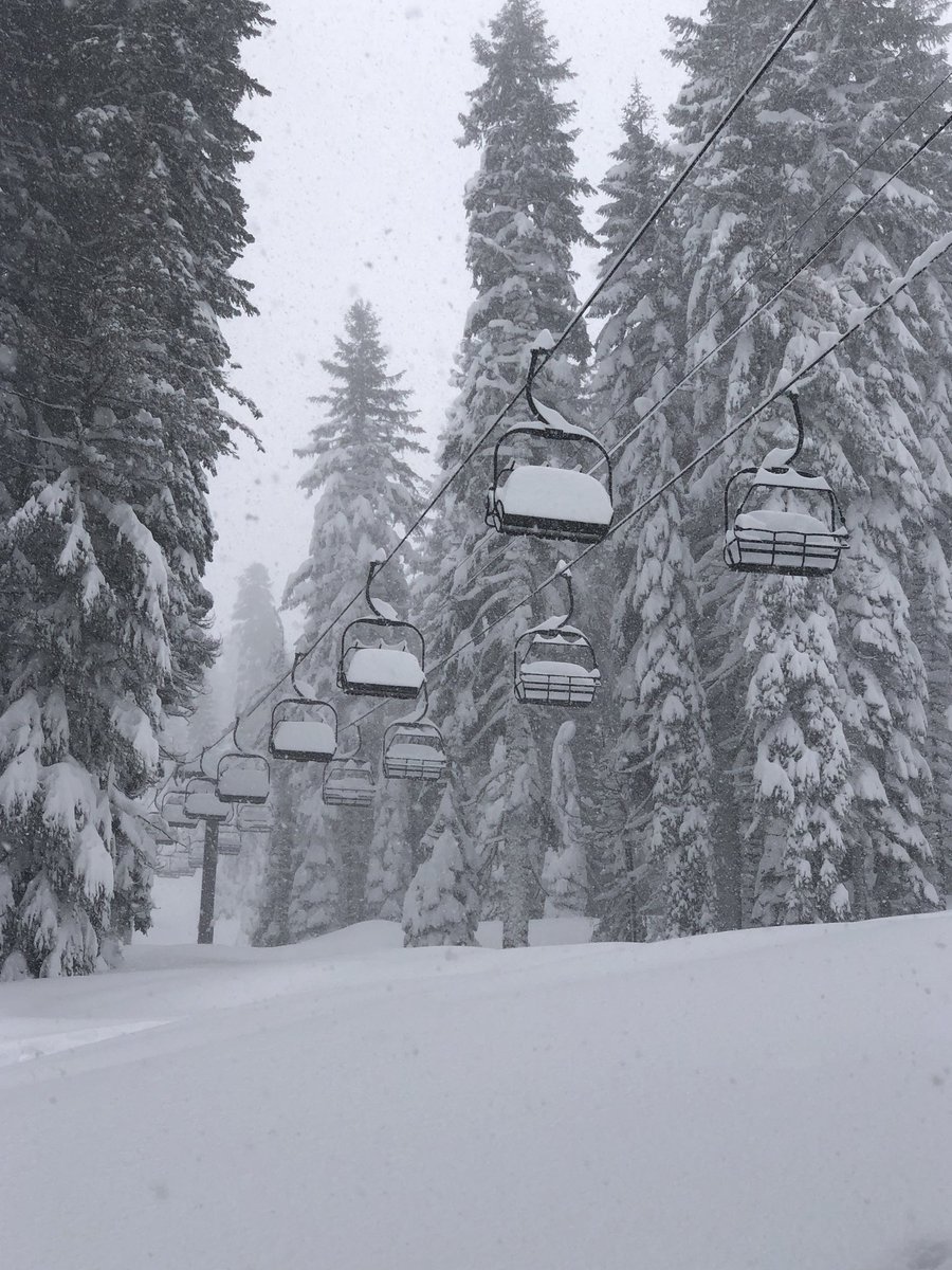 borealmtn's tweet photo. #PowderTown is calling with 6 fresh inches of #BorealMagic! • 5” more expected throughout the day • Buy your lift tickets online &amp; save up to 60% • #SkiCalifornia • #PlayForever • #RideBoreal https://t.co/GfJMMstLkl