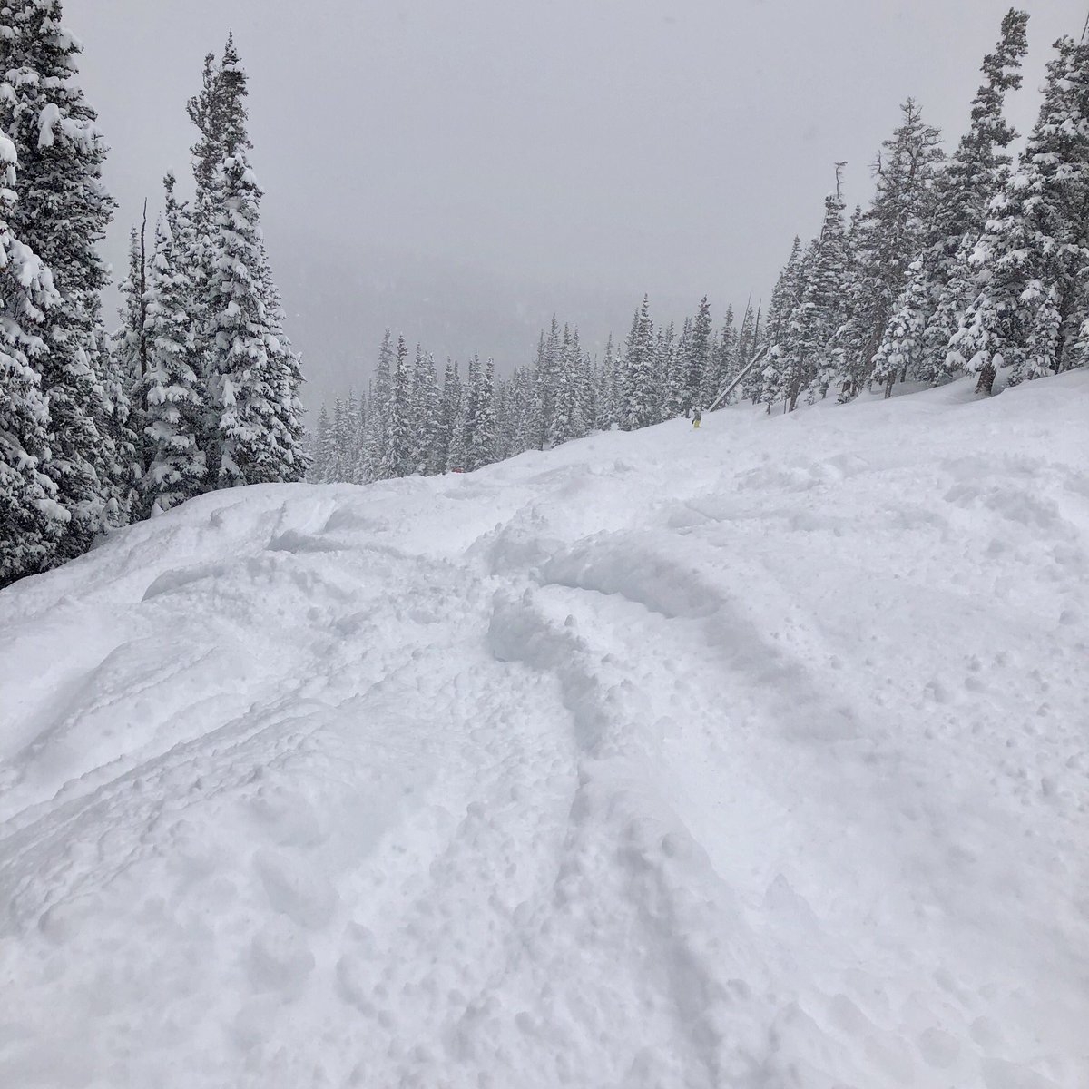 CMoneyKS's tweet image. Just took the 2 most epic powder runs and the most epic powder cartwheeling crash of my life AND IT WAS AWESOME. Knee- to waist-deep and it’s still falling. #Corsair #MostDifficult #BlackDiamond #PowderDay #PowPowDay #Crash #Moguls #SteepAndSoft #Skiing