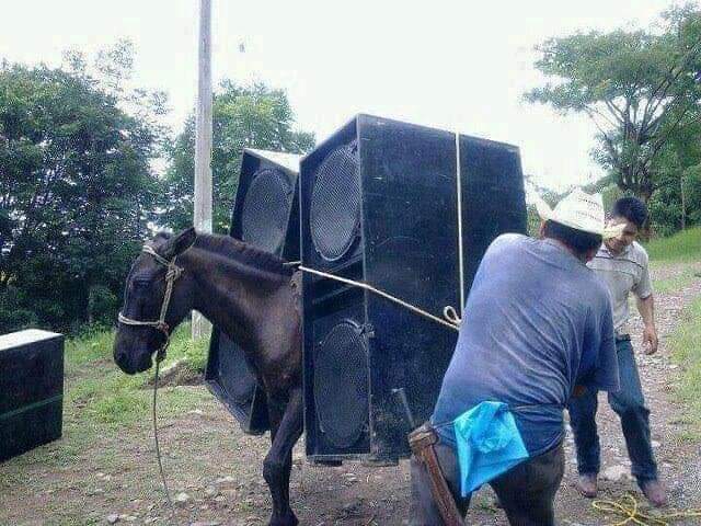 IamChip_E's tweet photo. You can never have too much sound @ultra ...I can’t wait to SMASH opening day March 29th in Miami #carlcoxofficial #martingarrix #josephcapriati #tiesto #dubfire #gettoblasterdj #chipe #iamchip_e #traktordj #nativeinstruments #pioneerddj #djtechtools #subpac #time2jack https://t.co/jbt5ojTDSJ