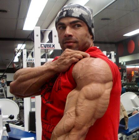 MusclePhone's tweet photo. Dear @BleacherReport, @SInow & other clueless media,
This is what sub 5% body fat looks like. Do a little research or hire someone who can.
Sincerely,
Phone Nation
#phoneknows https://t.co/LOiHKf9ZhB