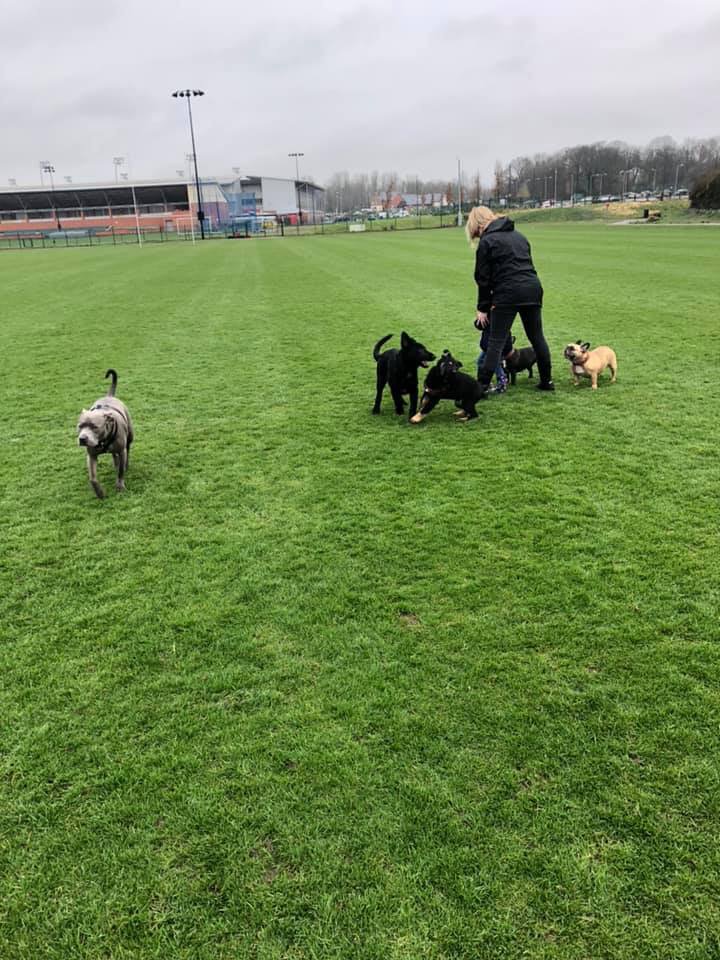 🐾💖Sunday Walkies with @therealpaulbond, our Pack, friends &amp; Princess Georgia💖🐾