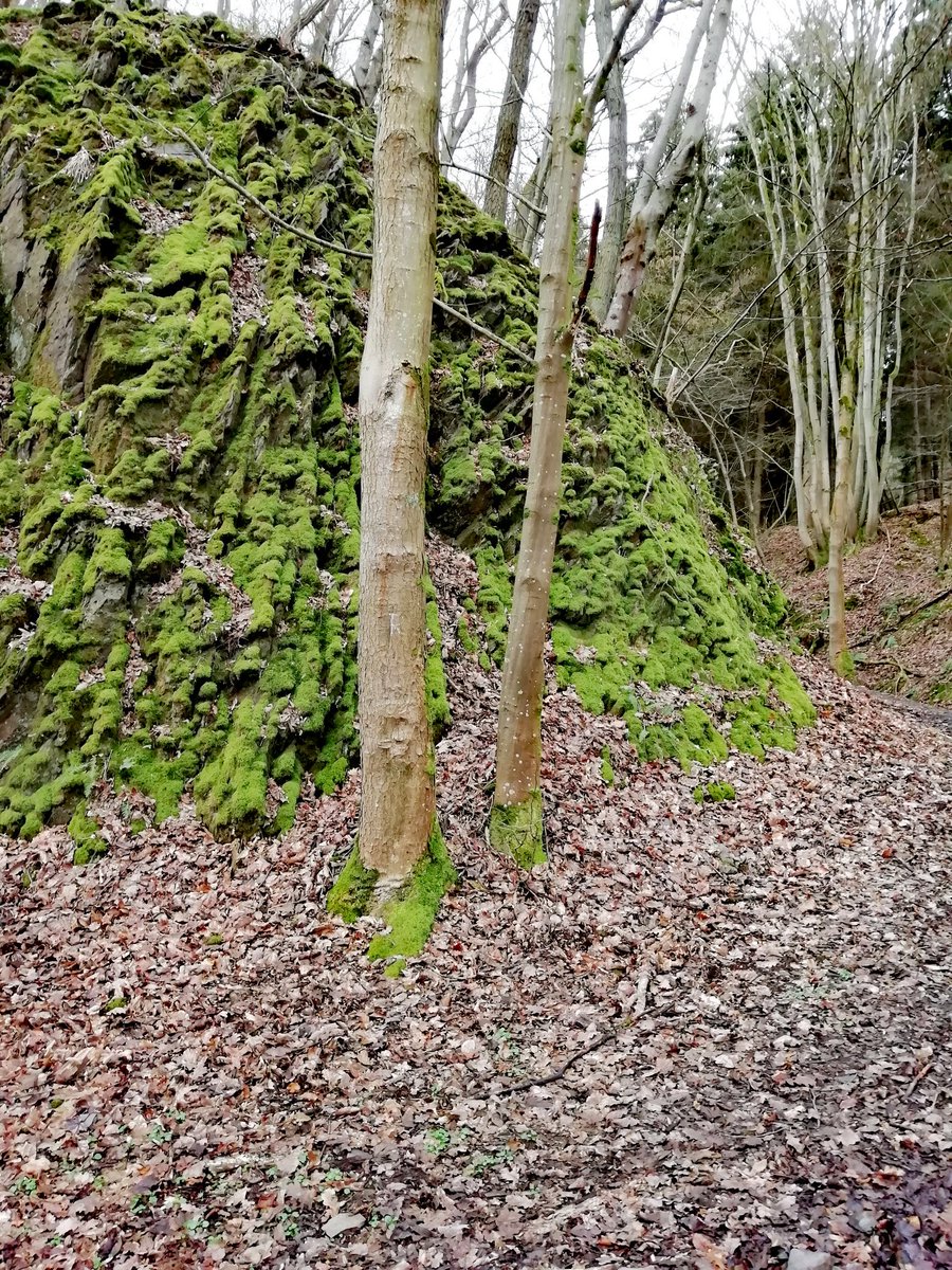duemjroef_ac's tweet photo. Tolle Gegend. #Eifel #Schmidt #Abenden #Blens https://t.co/FrKy9lCI3E