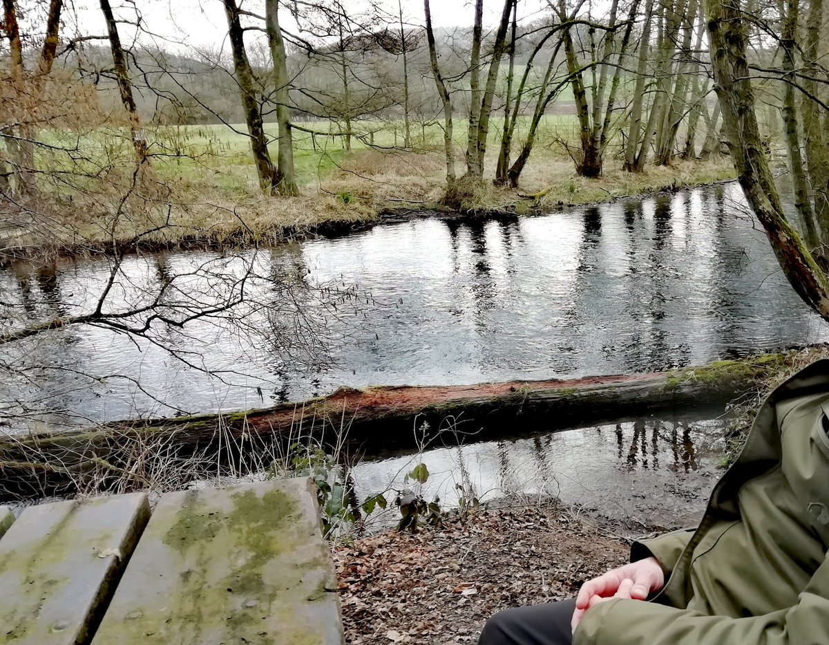 duemjroef_ac's tweet photo. Tolle Gegend. #Eifel #Schmidt #Abenden #Blens https://t.co/FrKy9lCI3E