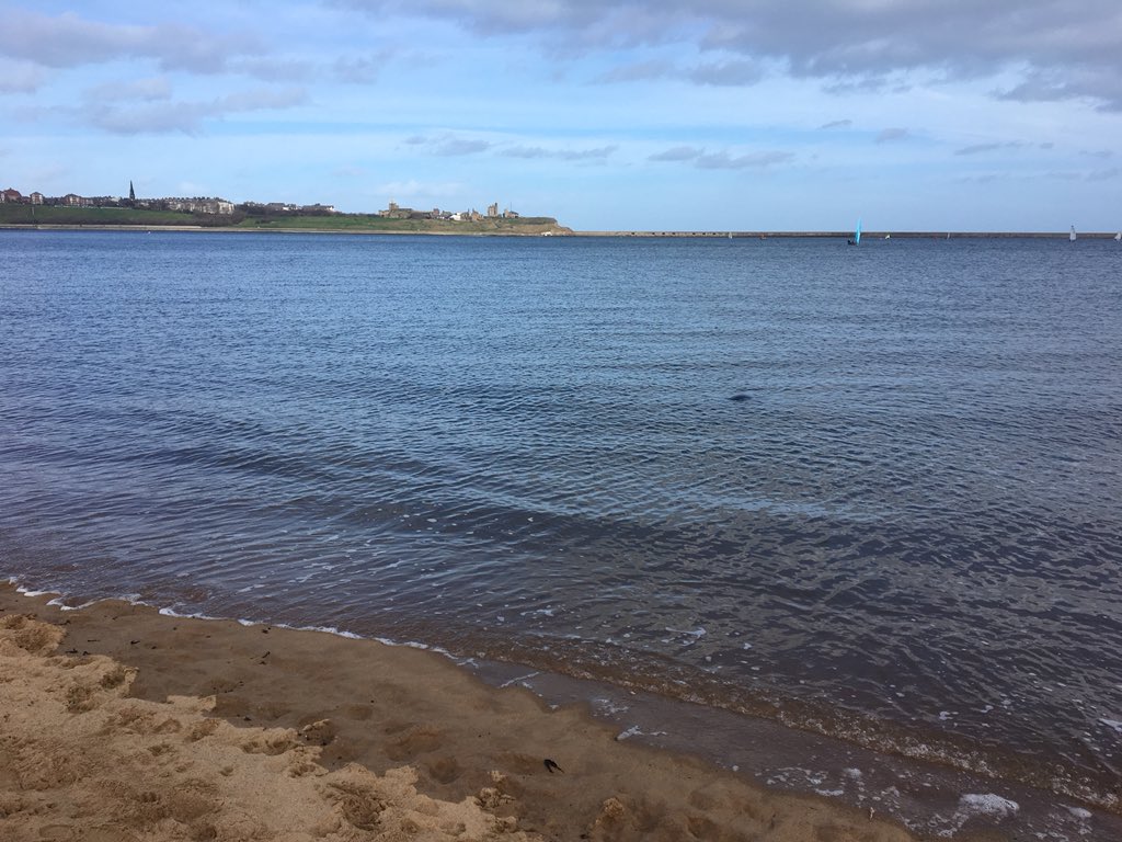 Demeter Water Solutions tweet media