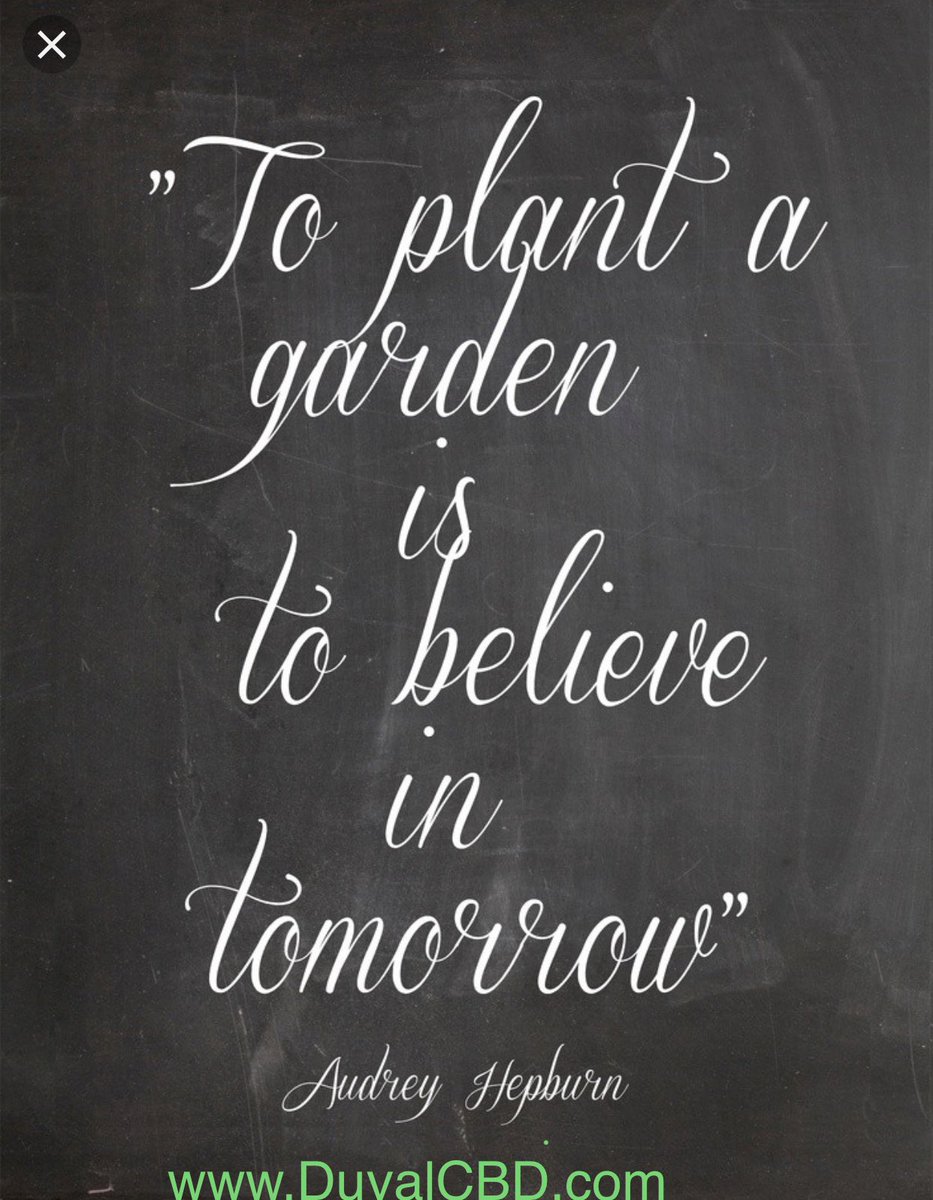 DuvalCbd's tweet photo. Are you ready for a new tomorrow? Let https://t.co/Kx580uFCgz help you take your first step! ! #Hemp #CBD #CBDoil #florida #Jacksonville #JAX #MardiGras #seed #farm #Healing #natural #Duval #SundayFunday #vibes #weekend #spring  #CBDlife #HempOil #NewDays https://t.co/gEvCfwXCTV