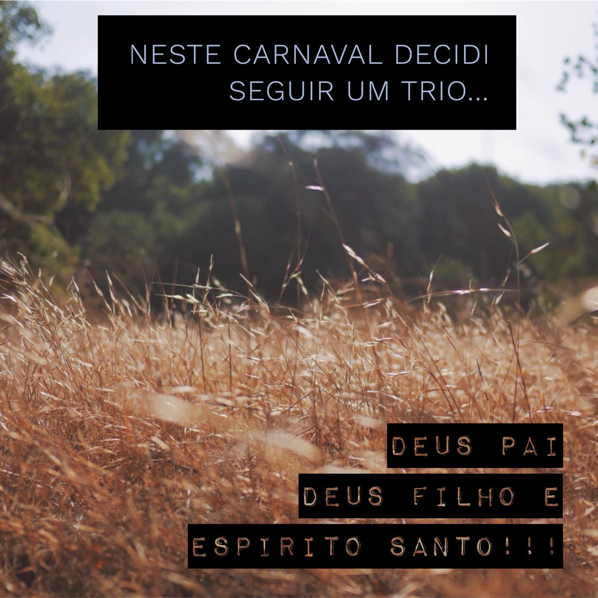 Neste carnaval decisi seguir um trio...            Deus Pai, Deus Filho e o Espírito Santo!