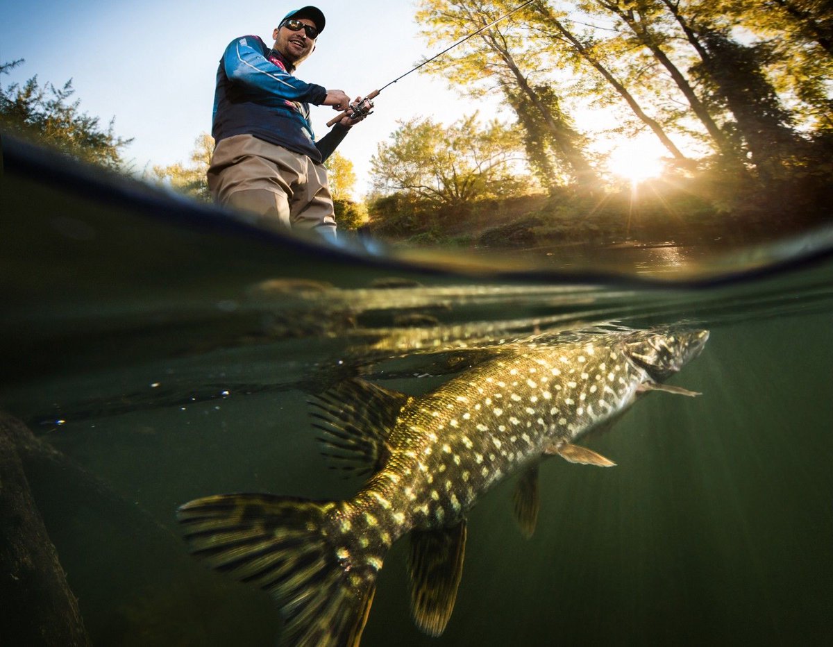 AIWorkbox's tweet image. ICYMI, #TensorFlow ~> Using TensorFlow to detect fish species by @emil_bogren buff.ly/2Nu7KZq