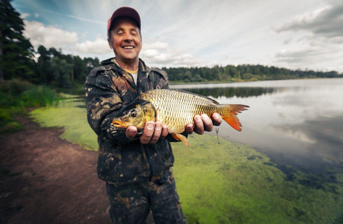AIWorkbox's tweet image. ICYMI, #TensorFlow ~> Using TensorFlow to detect fish species by @emil_bogren buff.ly/2Nu7KZq