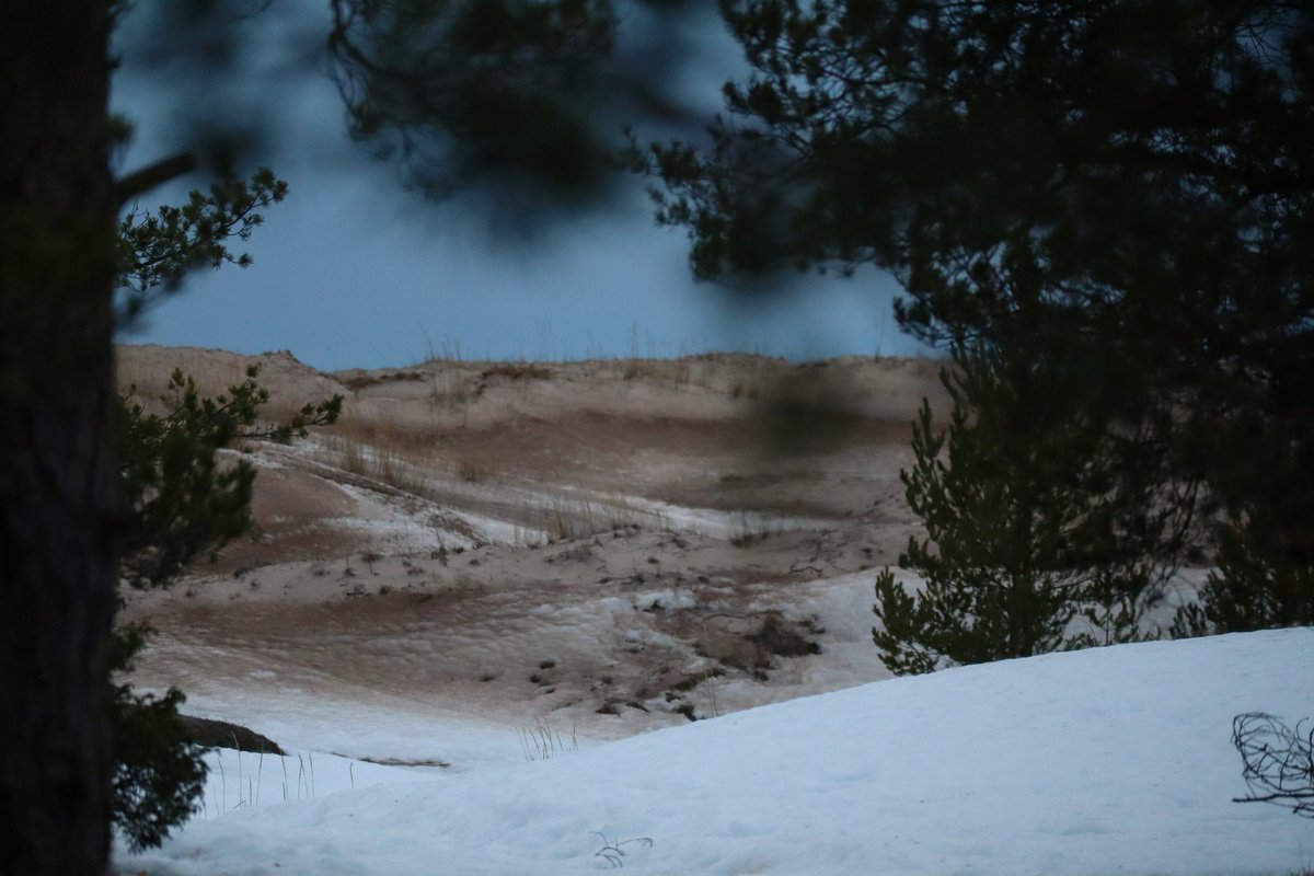 HeliNukki's tweet image. Askelsin meren rantaan.
Polku jäinen ja liukas.
Dyyneillä hyytävästi puhaltava #tuuli.
Rantavehnien kahina.
Hiekan rahina.
Jään pauke.
Sulapaikassa veden hento liplatus.
Koko horisontin yli vyöryvä #pilvi.
#munyyteri #luonto #maisema #valokuvaus #eosm50 #meri #hiekka #nature