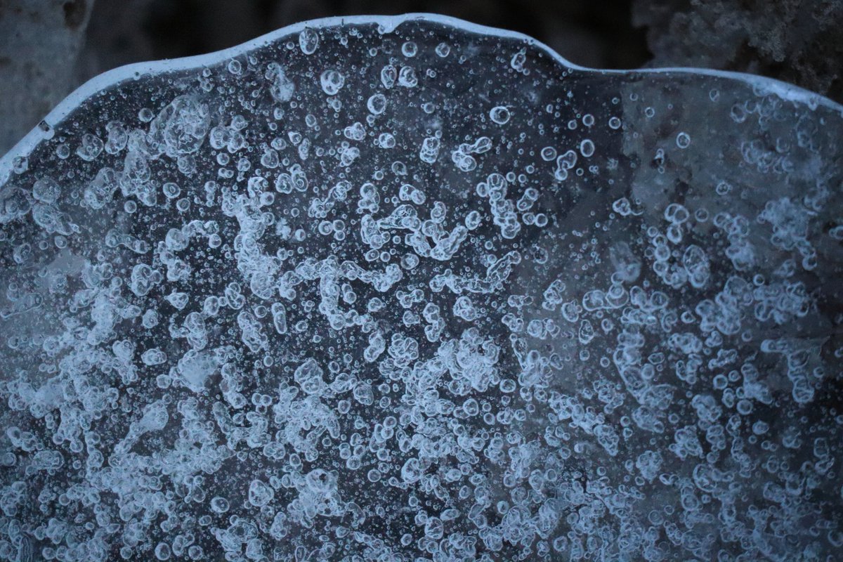 HeliNukki's tweet image. Askelsin meren rantaan.
Polku jäinen ja liukas.
Dyyneillä hyytävästi puhaltava #tuuli.
Rantavehnien kahina.
Hiekan rahina.
Jään pauke.
Sulapaikassa veden hento liplatus.
Koko horisontin yli vyöryvä #pilvi.
#munyyteri #luonto #maisema #valokuvaus #eosm50 #meri #hiekka #nature