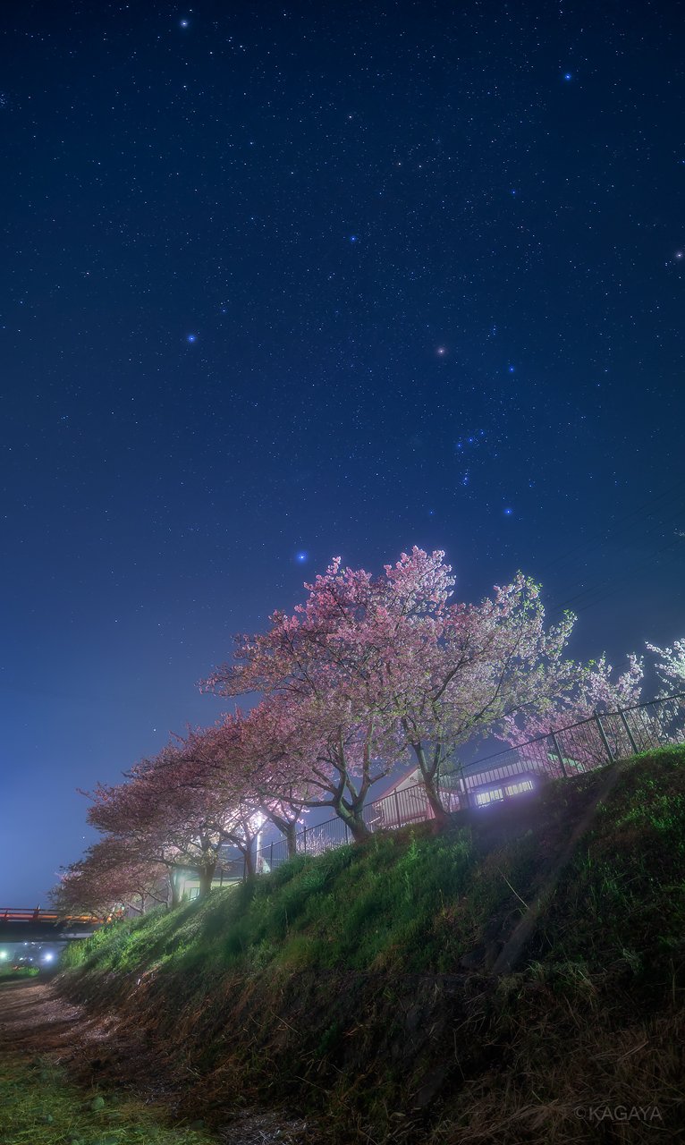 Kagaya 冬をおくり 春をむかえる オリオンの星見桜 一足早く咲く河津桜を撮ってきました 一昨日 伊豆半島にて撮影 今日もお疲れさまでした 明日からもおだやかな一週間になりますように Kagaya 冬をおくり 春をむかえる オリオンの星見桜 一足早く咲く河津桜を撮ってきました 一昨日 伊豆半島にて撮影 今日もお疲れさまでした 明日からもおだやかな一週間になりますように